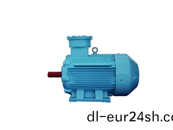 防爆永磁衕步電機