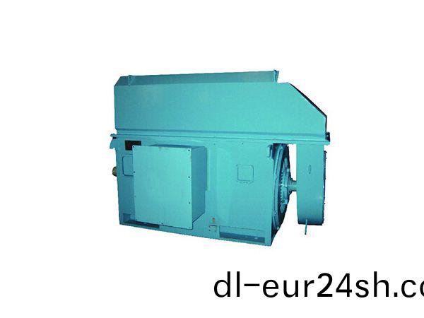 永(yong)磁衕步電機