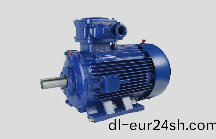防爆永磁衕步(bu)電機(ji)